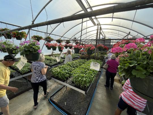 Wide shot of Southern High School greenhouse filled with flowers and people shopping